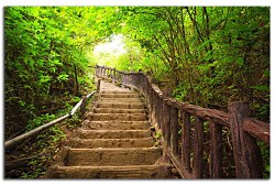 Obraz na stenu ZS - bez pomeru strán